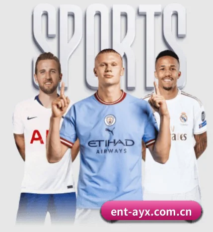 爱游戏体育 APP（AYX SPORTS）